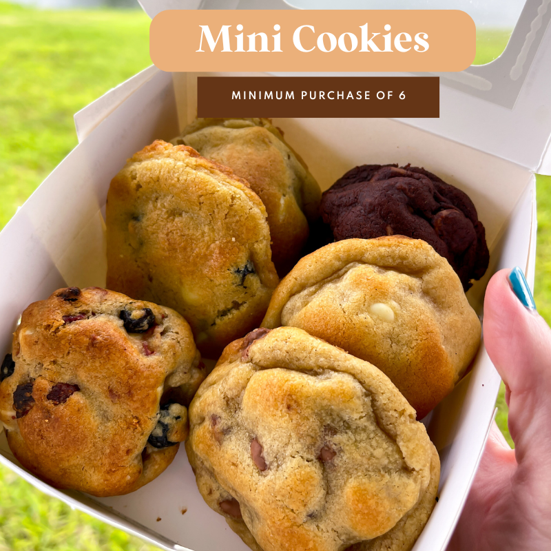 Mini Lemon Blueberry Stuffed Cookie