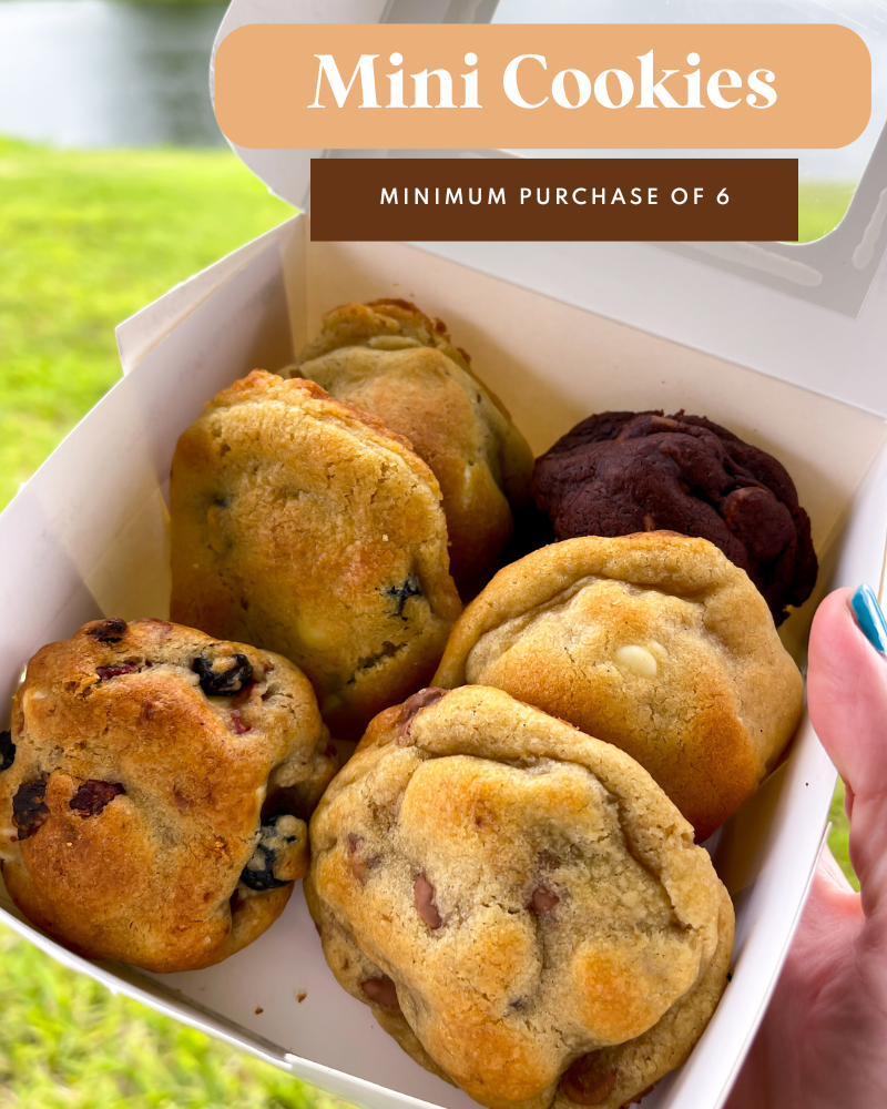 Mini Double Chocolate Cookie Stuffed with Orange Cream