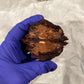 Mini Double Chocolate stuffed with Nutella and crushed hazelnuts