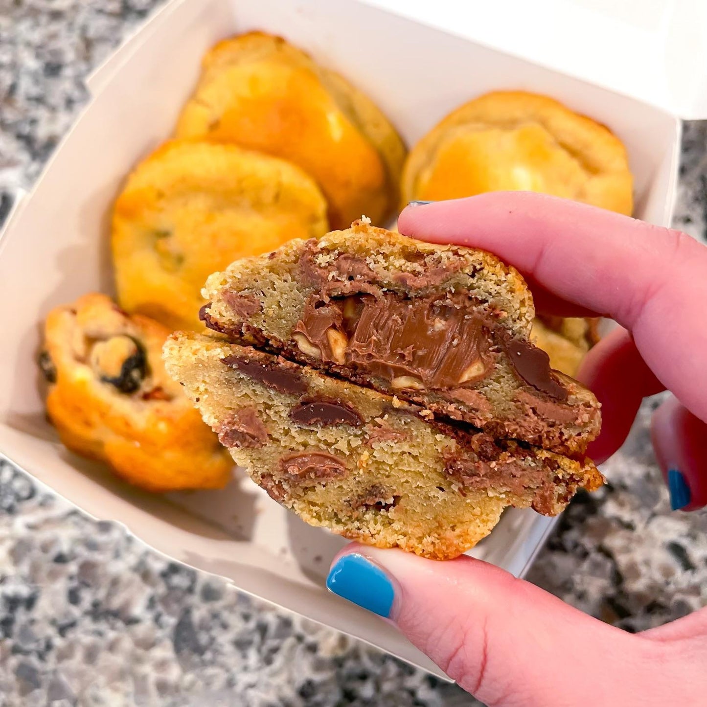 Mini Chocolate Chip Nutella With Crushed Hazelnuts